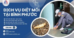 Diệt mối tại Bình Phước