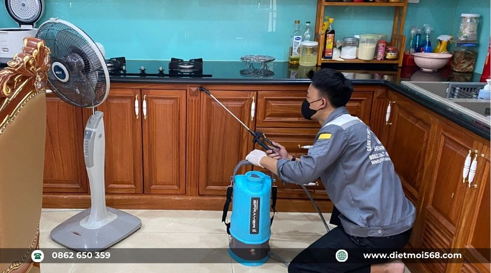 diệt mối tận gốc tại tây ninh