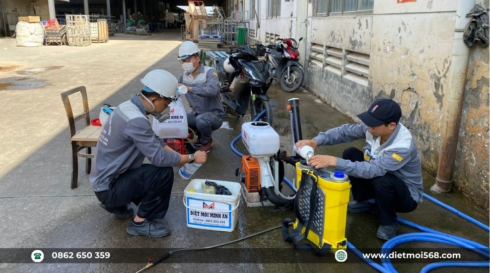 Phòng chống mối tại Tây Ninh
