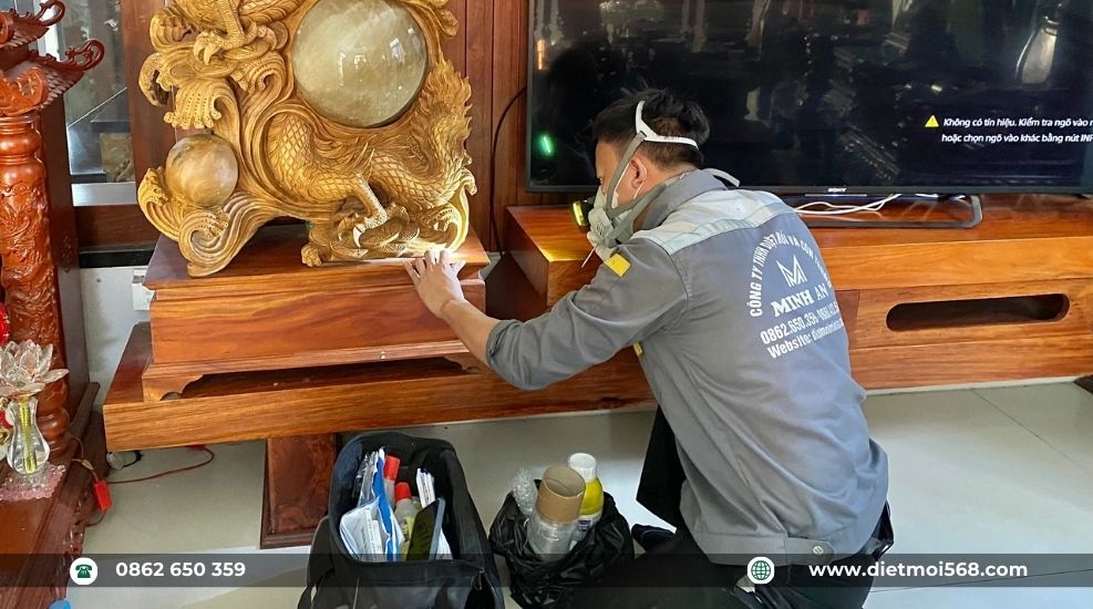 Quy trình diệt mối tại tây ninh