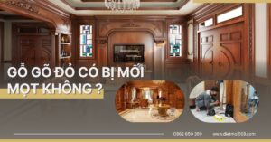 Gỗ gõ đỏ có bị mối không?