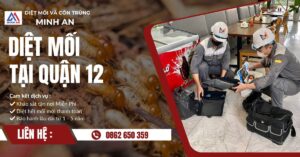 Diệt mối tại quận 12